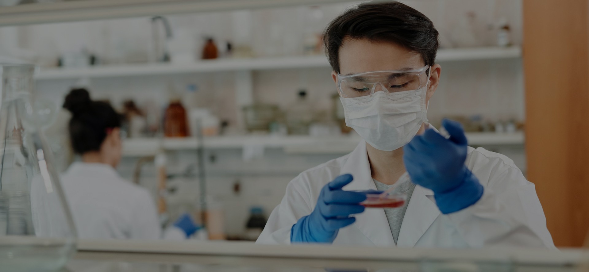 R&D and Innovation